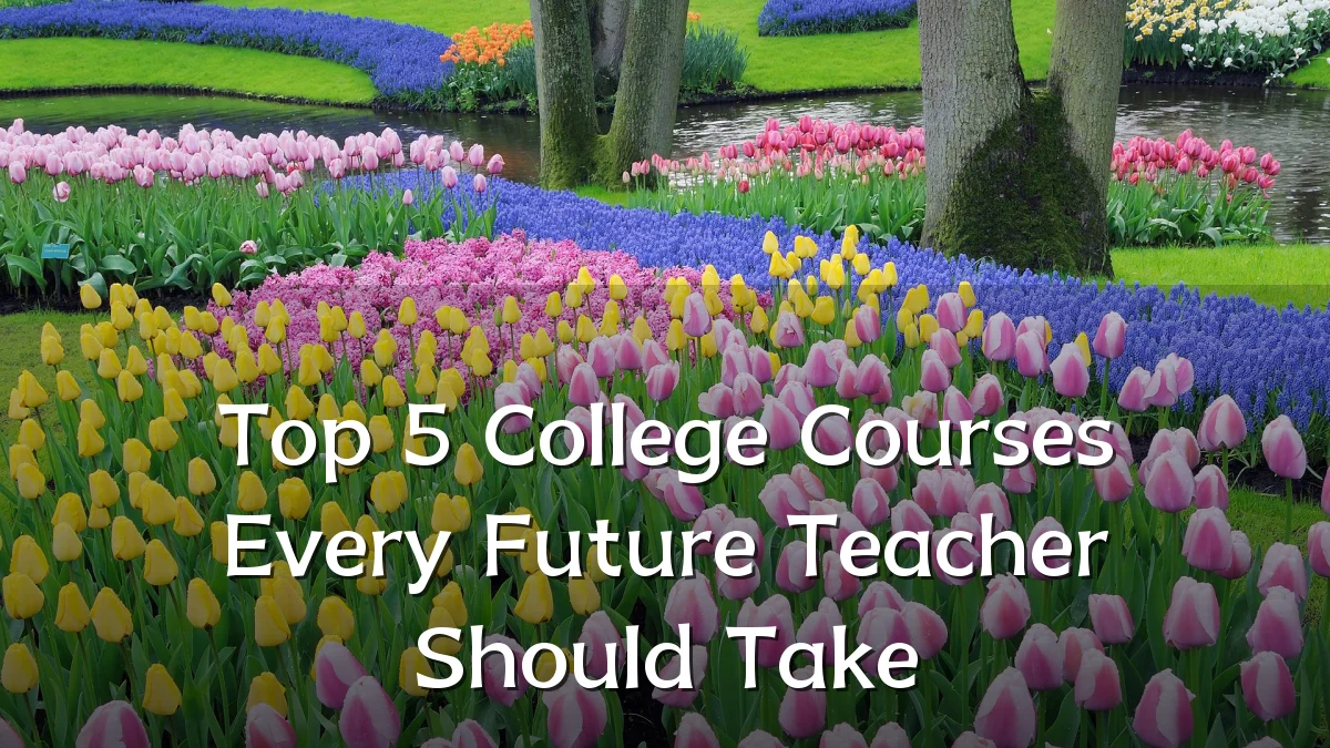 Top 5 College Courses Every Future Teacher Should Take
